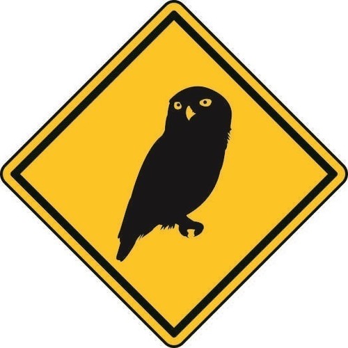 Aufkleber achtung eule 8 - x,